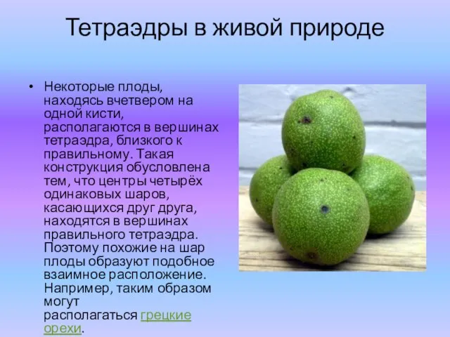 Тетраэдры в живой природе Некоторые плоды, находясь вчетвером на одной кисти, располагаются