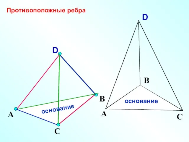 D А С В Противоположные ребра основание основание