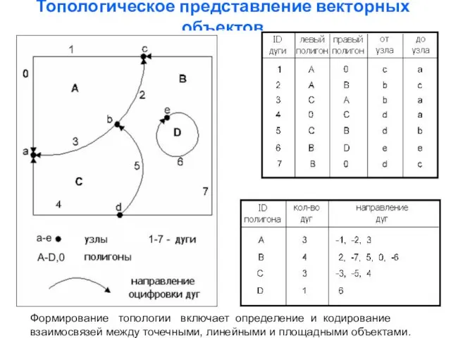 Топологическое представление векторных объектов Формирование топологии включает определение и кодирование взаимосвязей между