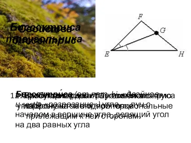 Биссектриса треугольника Биссектри́са (от лат. bi- «двойное», и sectio «разрезание») угла —