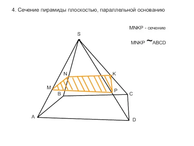 4. Сечение пирамиды плоскостью, параллельной основанию A B C D S M