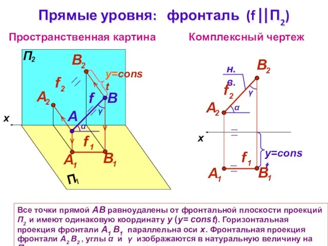 Пространственная картина Комплексный чертеж x B f Прямые уровня: фронталь (f П2)