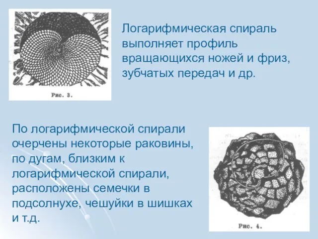 Логарифмическая спираль выполняет профиль вращающихся ножей и фриз, зубчатых передач и др.