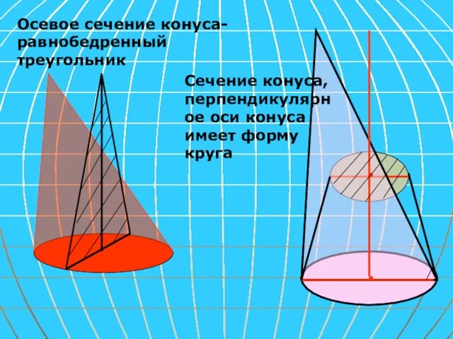 Осевое сечение конуса-равнобедренный треугольник Сечение конуса, перпендикулярное оси конуса имеет форму круга