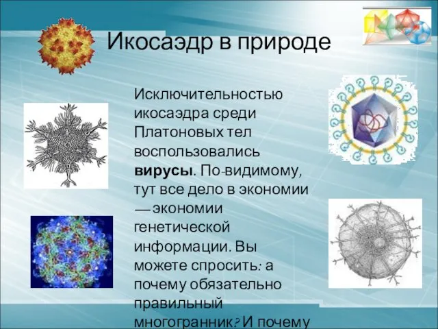 Икосаэдр в природе Исключительностью икосаэдра среди Платоновых тел воспользовались вирусы. По-видимому, тут