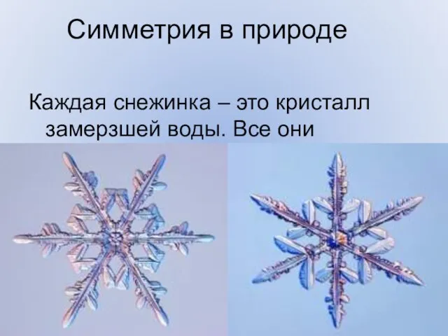 Симметрия в природе Каждая снежинка – это кристалл замерзшей воды. Все они обладают поворотной симметрией.