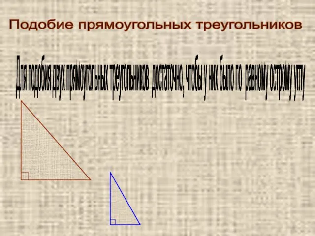 Подобие прямоугольных треугольников Для подобия двух прямоугольных треугольников достаточно, чтобы у них