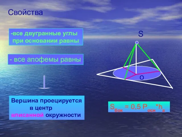 Свойства -все двугранные углы при основании равны - все апофемы равны Вершина