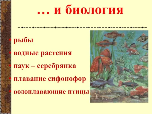 … и биология рыбы водные растения паук – серебрянка плавание сифонофор водоплавающие птицы