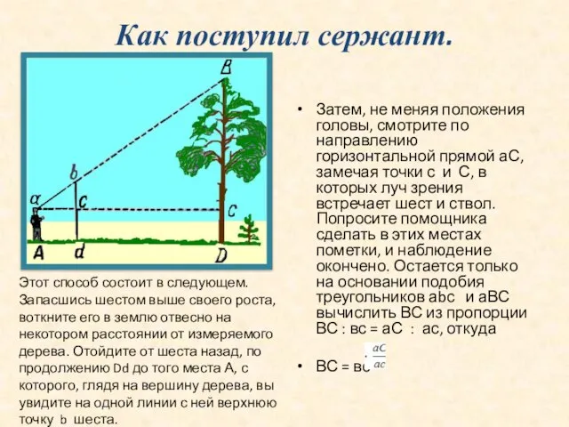 Как поступил сержант. Затем, не меняя положения головы, смотрите по направлению горизонтальной