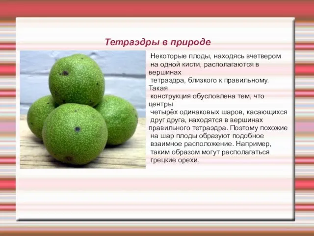 Тетраэдры в природе Некоторые плоды, находясь вчетвером на одной кисти, располагаются в