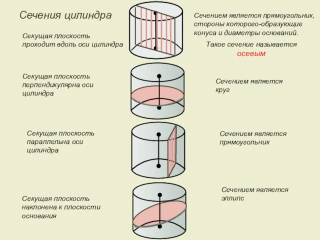 Секущая плоскость проходит вдоль оси цилиндра Сечением является прямоугольник, стороны которого-образующие конуса