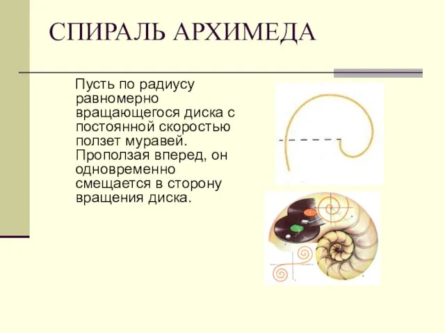 СПИРАЛЬ АРХИМЕДА Пусть по радиусу равномерно вращающегося диска с постоянной скоростью ползет