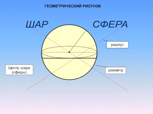 ШАР СФЕРА диаметр радиус Центр шара (сферы) ГЕОМЕТРИЧЕСКИЙ РИСУНОК