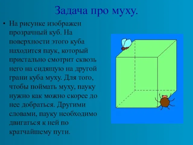 Задача про муху. На рисунке изображен прозрачный куб. На поверхности этого куба