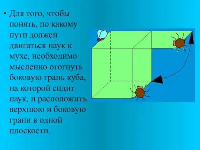 Для того, чтобы понять, по какому пути должен двигаться паук к мухе,