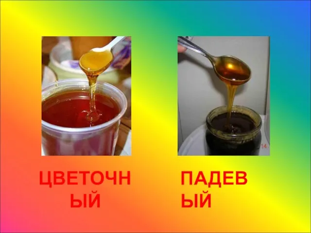 ЦВЕТОЧНЫЙ ПАДЕВЫЙ