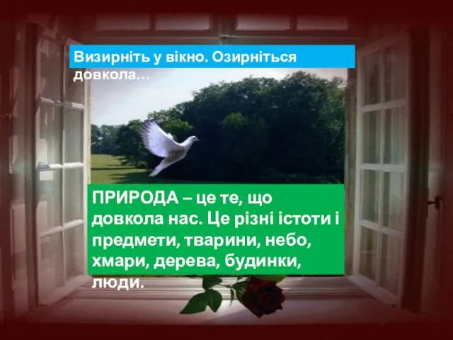 Визирніть у вікно. Озирніться довкола… ПРИРОДА – це те, що довкола нас.