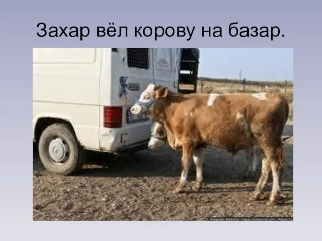 Захар вёл корову на базар.