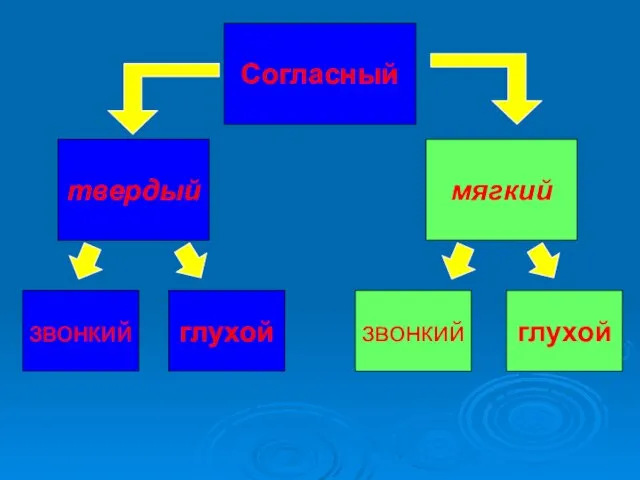 твердый мягкий Согласный звонкий звонкий глухой глухой