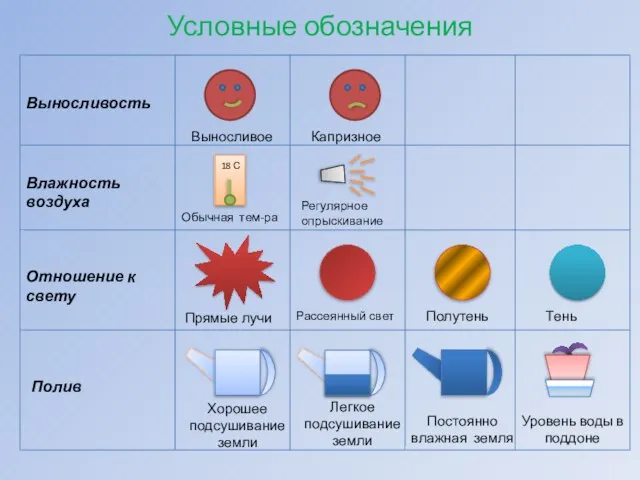 Условные обозначения Влажность воздуха Отношение к свету Выносливость Полив Выносливое Капризное Обычная