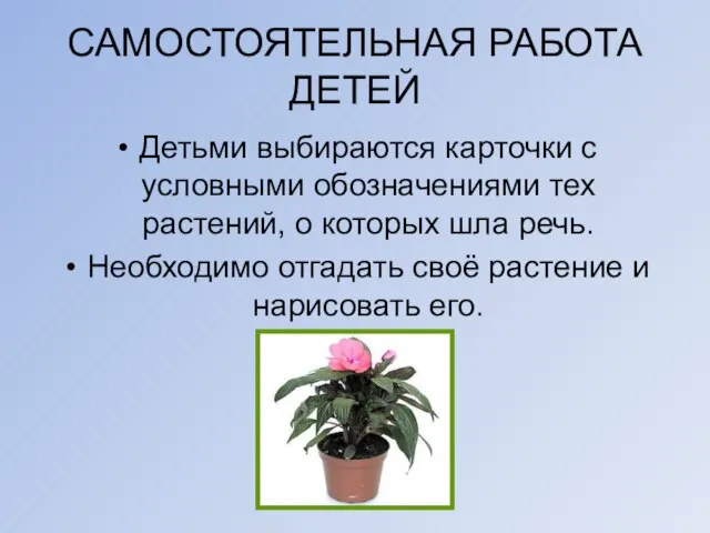 САМОСТОЯТЕЛЬНАЯ РАБОТА ДЕТЕЙ Детьми выбираются карточки с условными обозначениями тех растений, о