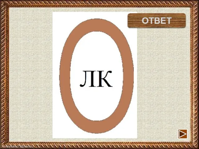 волк ОТВЕТ