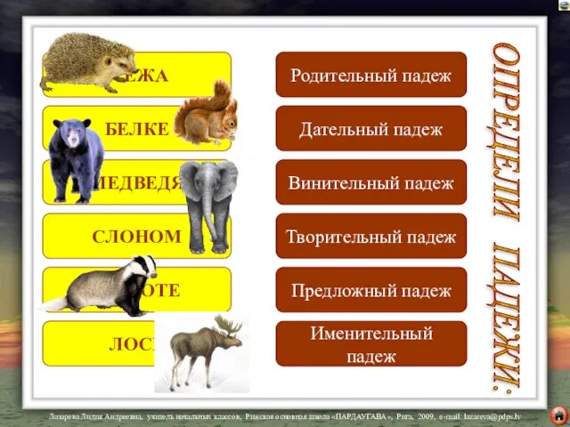 У ЕЖА БЕЛКЕ МЕДВЕДЯ СЛОНОМ О ЕНОТЕ ЛОСЬ ОПРЕДЕЛИ ПАДЕЖИ: Родительный падеж