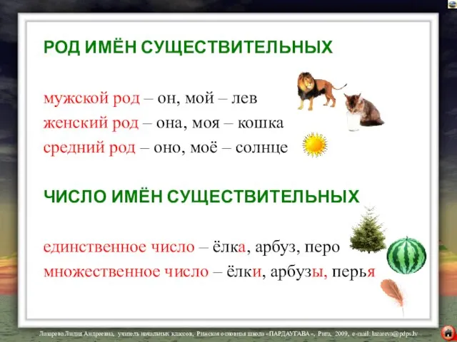 РОД ИМЁН СУЩЕСТВИТЕЛЬНЫХ мужской род – он, мой – лев женский род