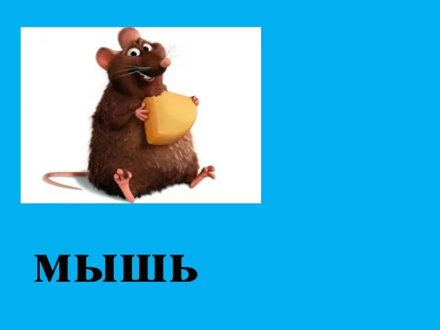 мышь