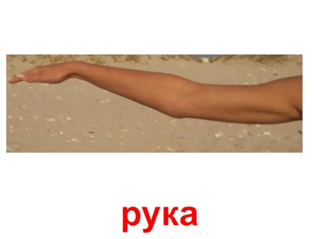 рука