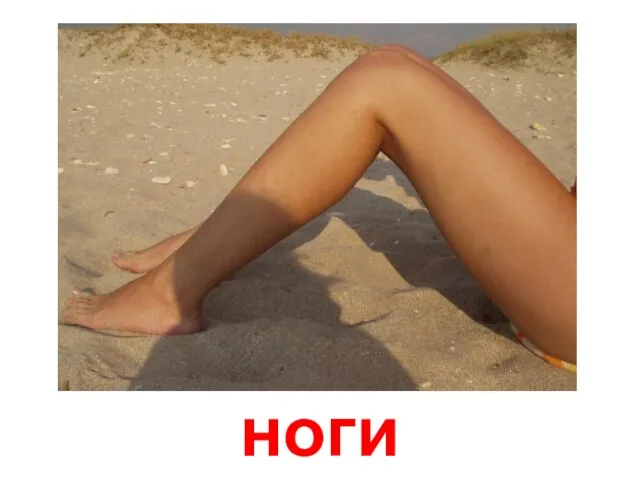 ноги