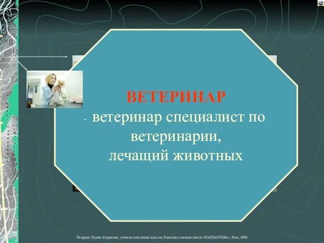 ВЕТЕРИНАР ветеринар специалист по ветеринарии, лечащий животных