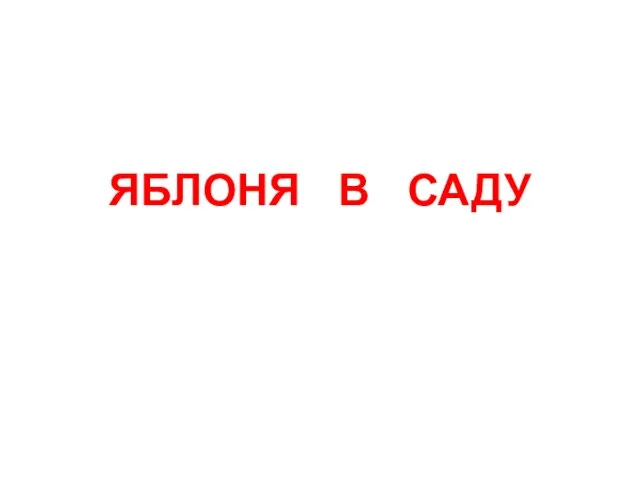 ЯБЛОНЯ В САДУ