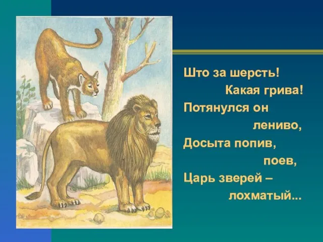 Што за шерсть! Какая грива! Потянулся он лениво, Досыта попив, поев, Царь зверей – лохматый...