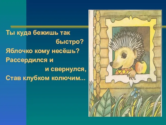 Ты куда бежишь так быстро? Яблочко кому несёшь? Рассердился и и свернулся, Став клубком колючим...