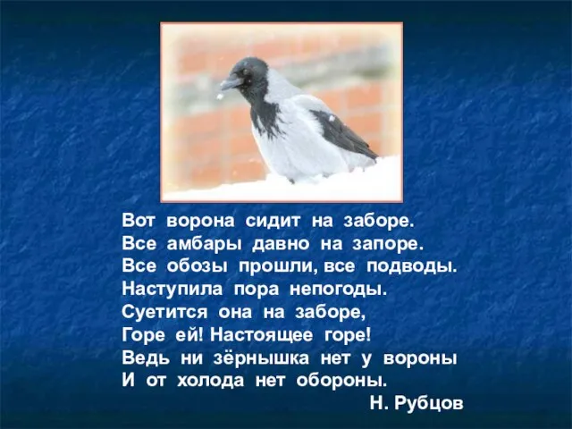 Вот ворона сидит на заборе. Все амбары давно на запоре. Все обозы