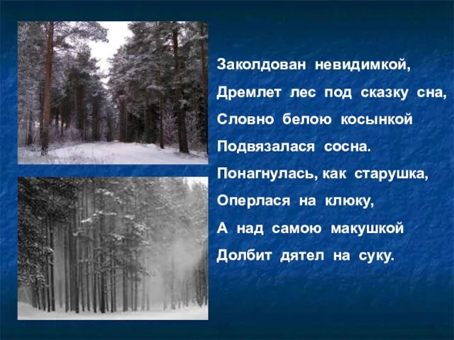 Заколдован невидимкой, Дремлет лес под сказку сна, Словно белою косынкой Подвязалася сосна.