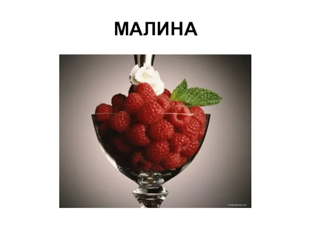 МАЛИНА