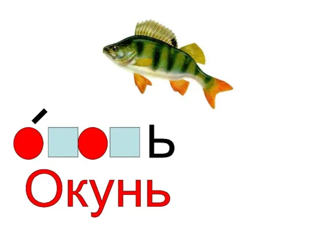 Ь Окунь