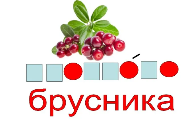 брусника