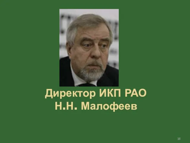 Директор ИКП РАО Н.Н. Малофеев