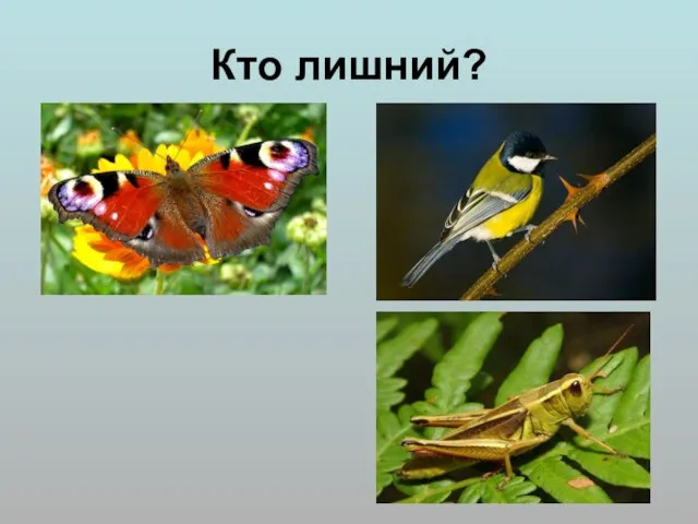 Кто лишний?