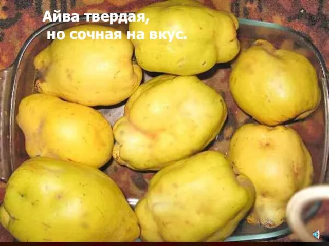 Айва твердая, но сочная на вкус. Айва твердая, но сочная на вкус.