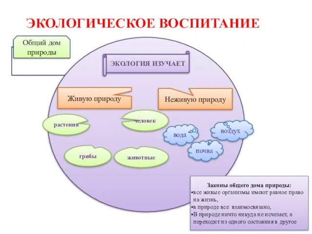 ЭКОЛОГИЧЕСКОЕ ВОСПИТАНИЕ Общий дом природы ЭКОЛОГИЯ ИЗУЧАЕТ Живую природу Неживую природу вода