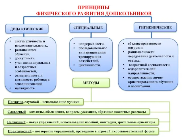 ПРИНЦИПЫ ФИЗИЧЕСКОГО РАЗВИТИЯ ДОШКОЛЬНИКОВ непрерывности, последовательности наращивания тренирующих воздействий, цикличности. сбалансированности нагрузок,