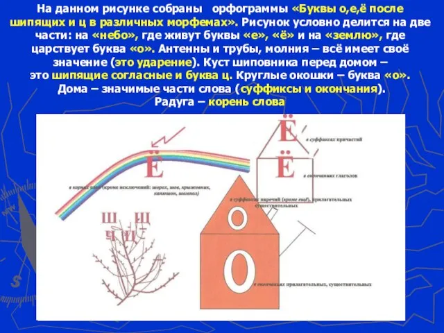 На данном рисунке собраны орфограммы «Буквы о,е,ё после шипящих и ц в