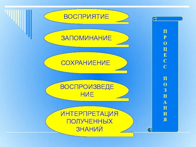 ВОСПРИЯТИЕ ЗАПОМИНАНИЕ СОХРАНИЕНИЕ ВОСПРОИЗВЕДЕНИЕ П Р О Ц Е С С П