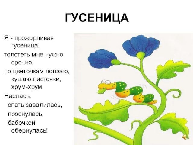 ГУСЕНИЦА Я - прожорливая гусеница, толстеть мне нужно срочно, по цветочкам ползаю,