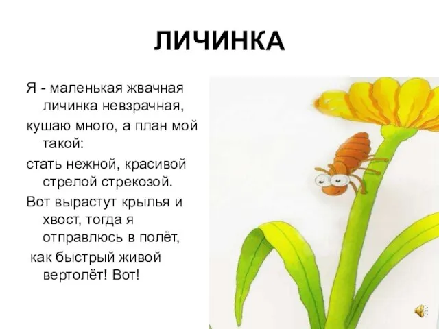 ЛИЧИНКА Я - маленькая жвачная личинка невзрачная, кушаю много, а план мой